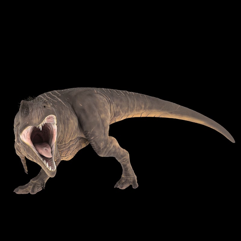 Dinosaur in the Jurassic era